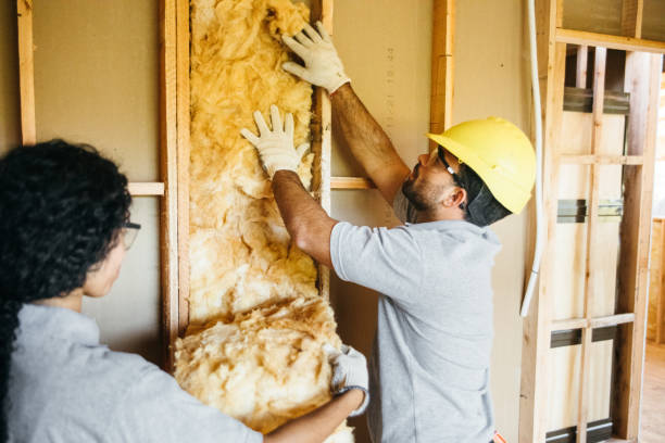 Best Insulation Contractor Near Me  in Granite Falls, NC